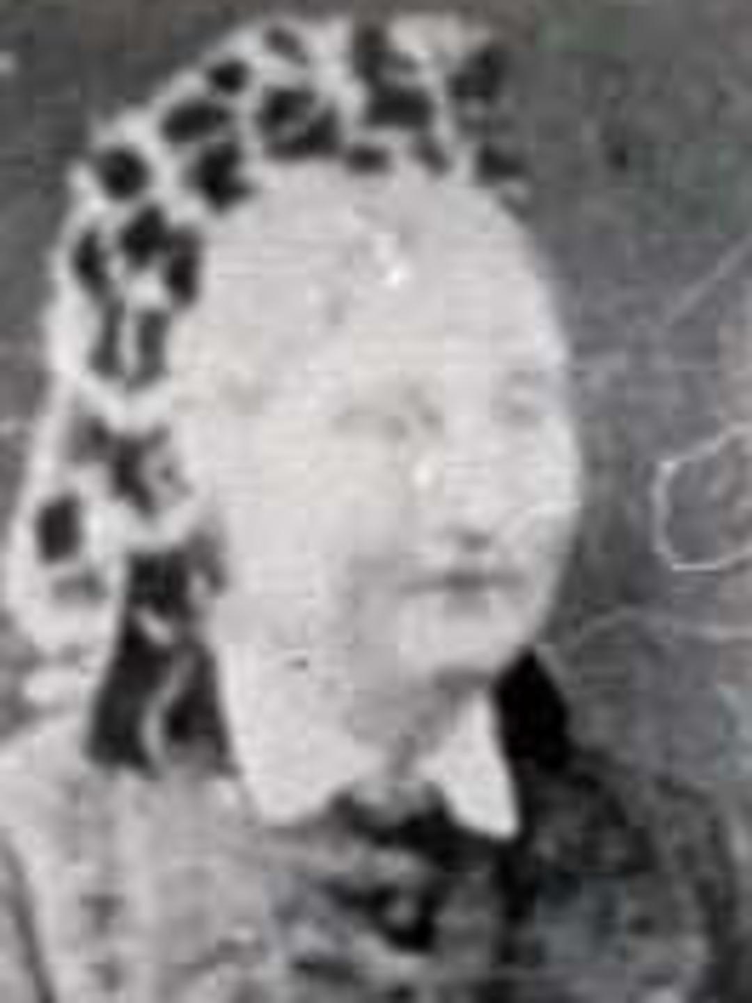 Ann Preece (1799 - 1859) Profile